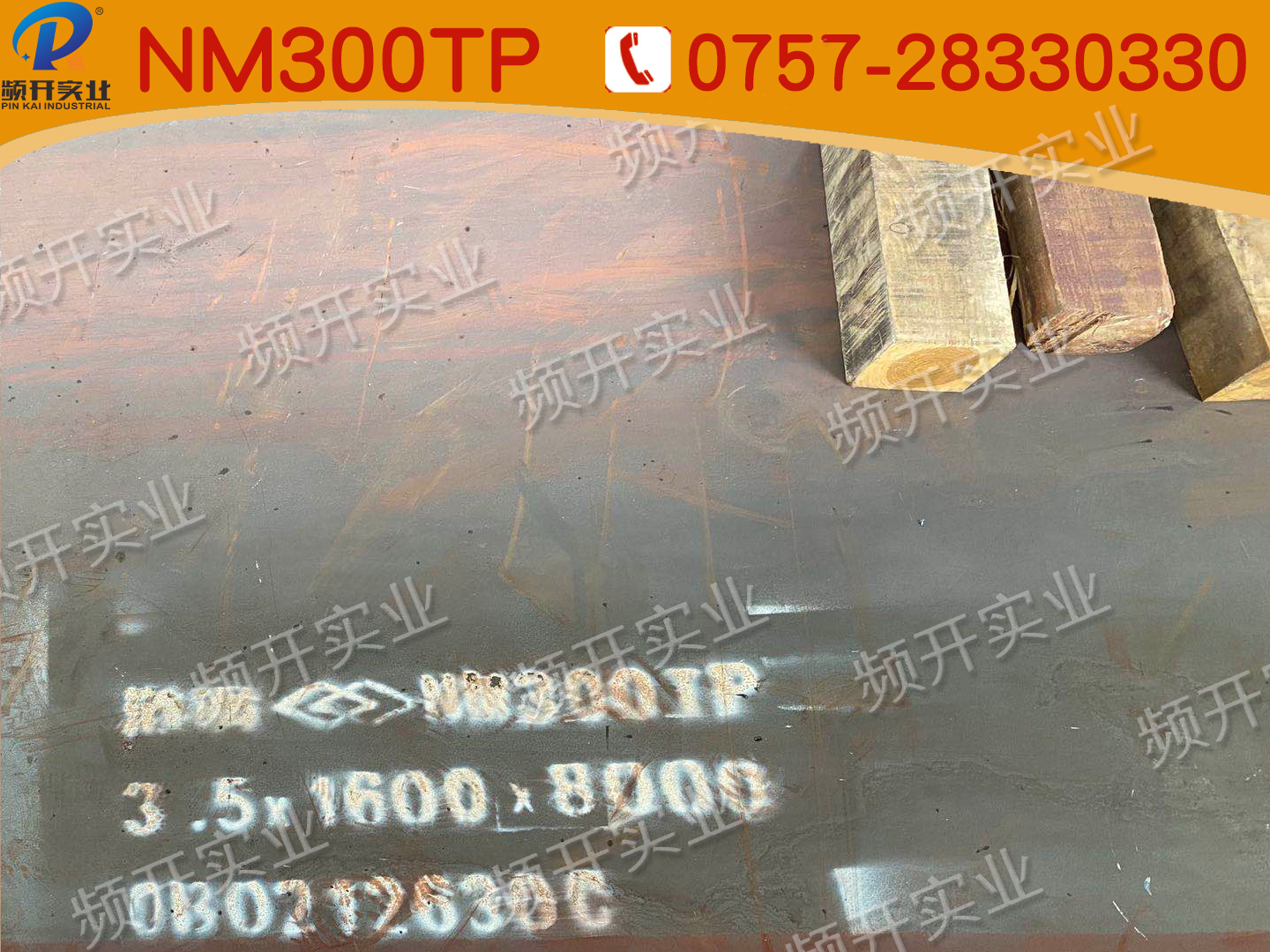 NM300/NM300TP