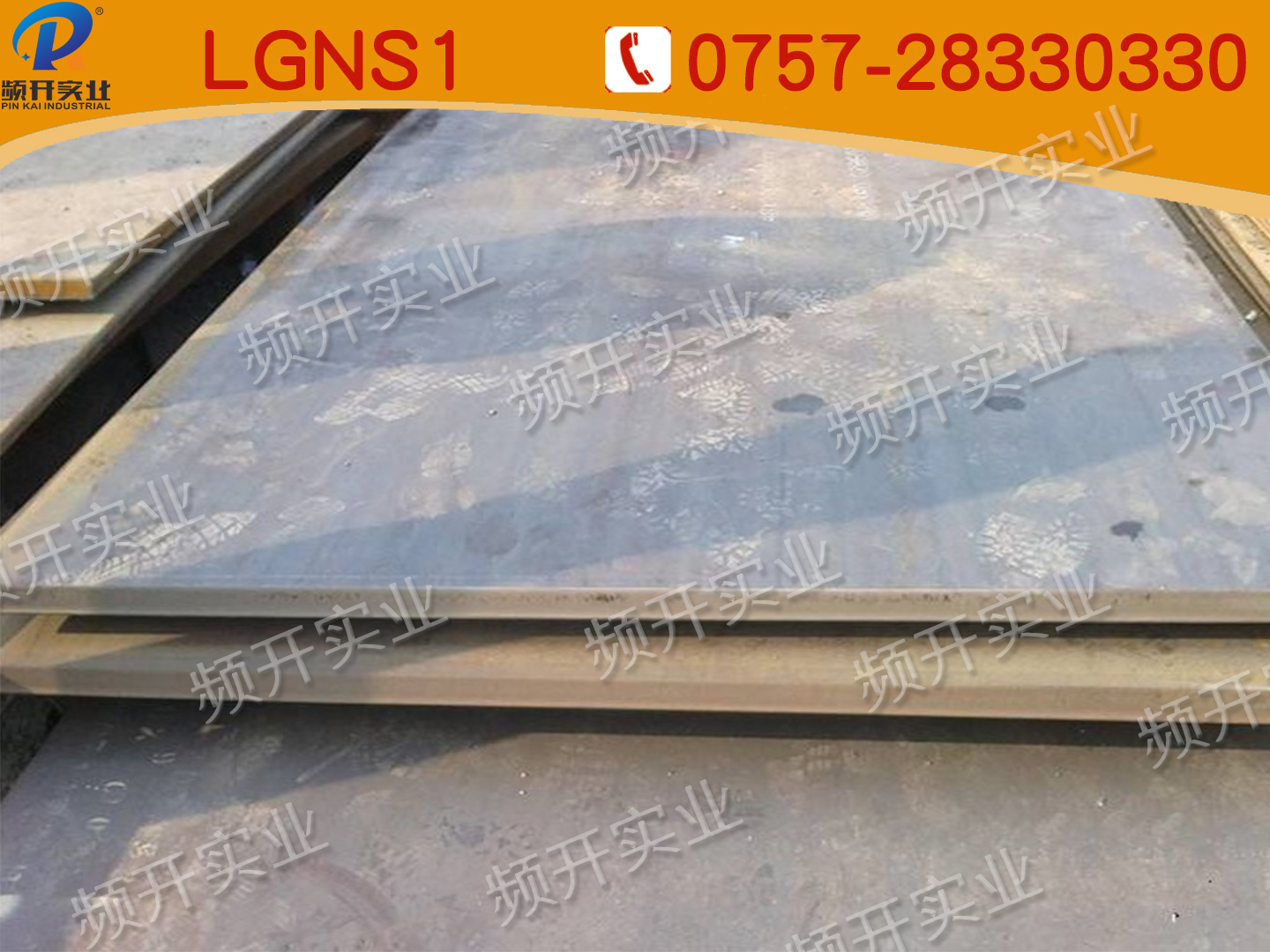 LGNS1